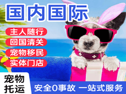 郑州机场空运国际宠物托运 【国